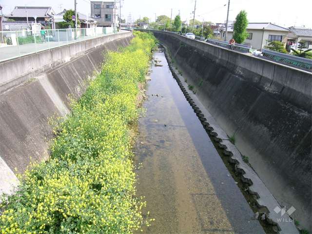 天竺川1