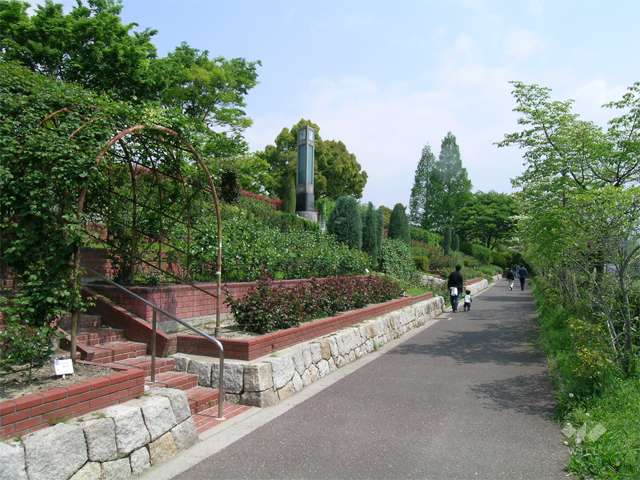 二ノ切池公園4