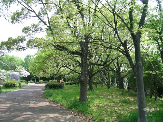 千里西町公園2