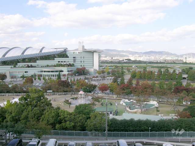 阪神競馬場2