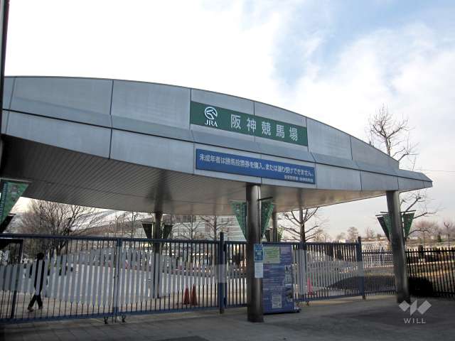 阪神競馬場4