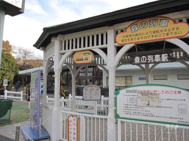 阪神競馬場8