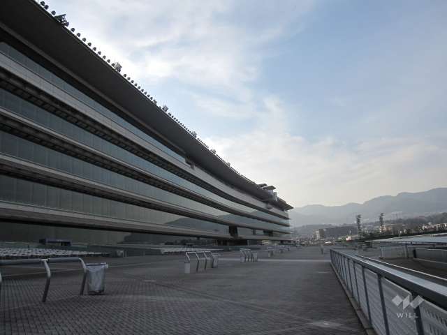 阪神競馬場11