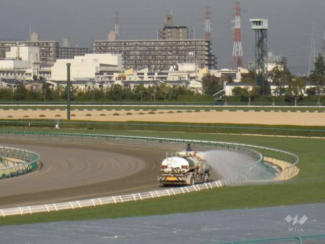 阪神競馬場16