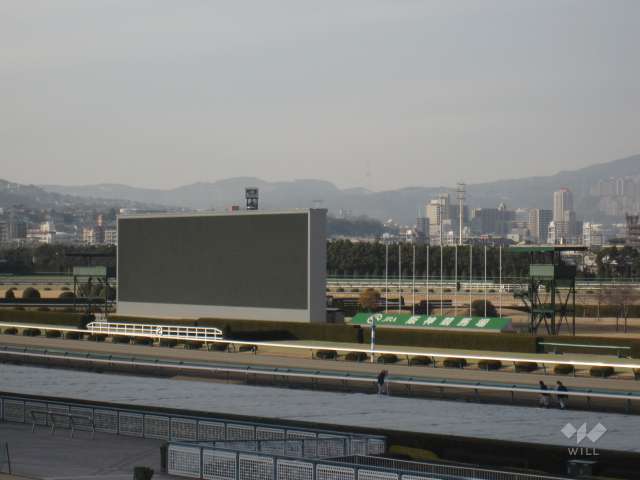 阪神競馬場13