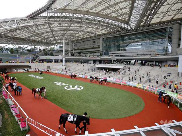 阪神競馬場18