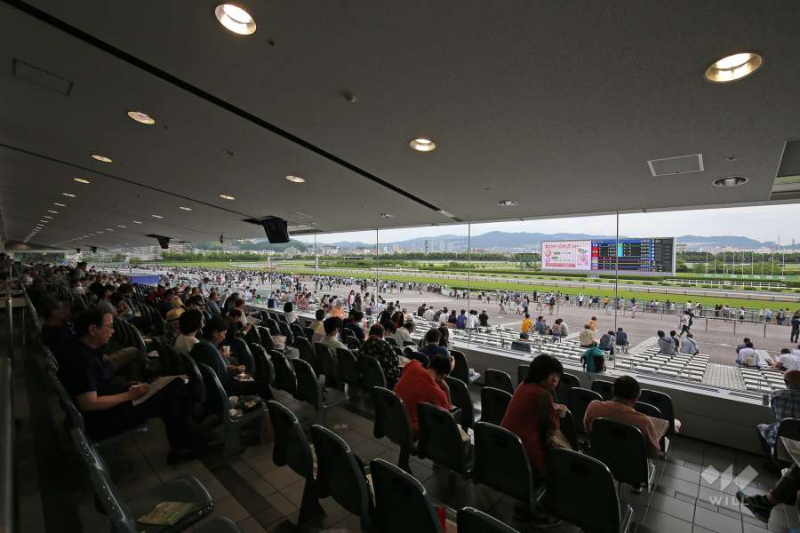阪神競馬場12