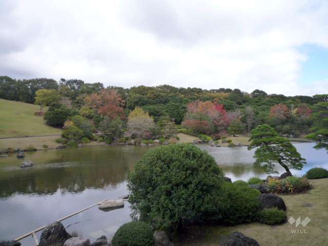 万博記念公園11