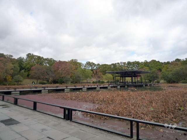 万博記念公園12