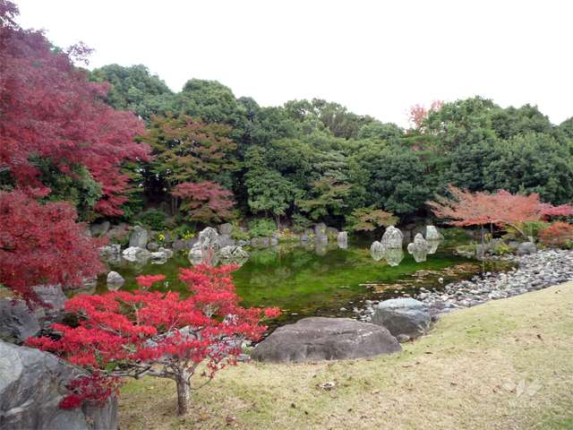 万博記念公園15