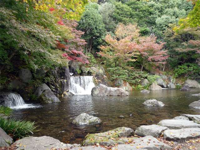 万博記念公園16