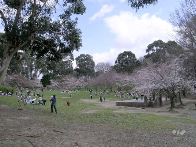 千里南公園3
