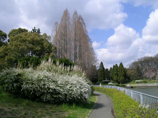 千里南公園5