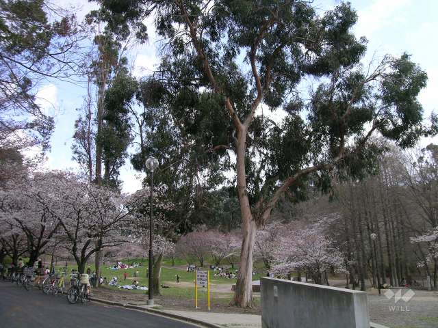千里南公園8