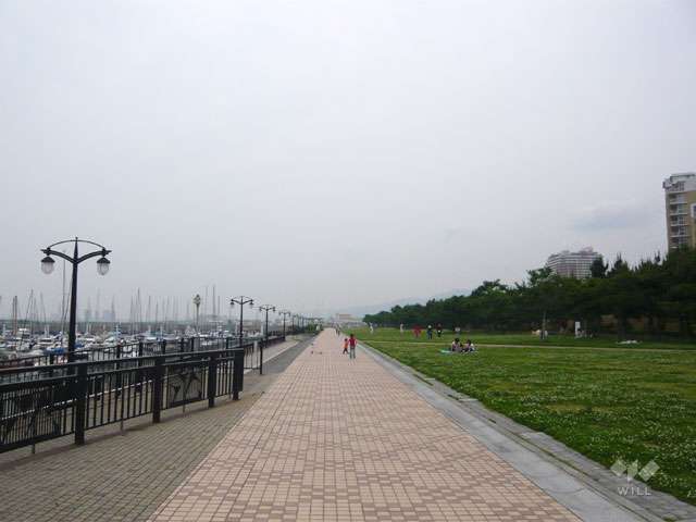 新西宮ヨットハーバー4