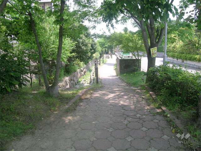 しらかば公園3