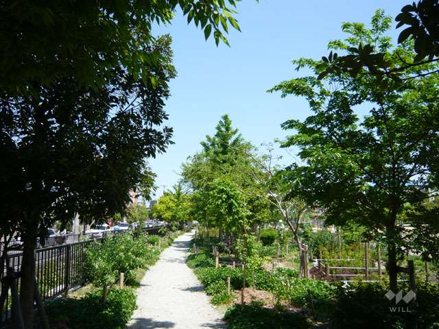 笹原公園10