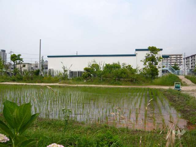 みやっこキッズパーク3