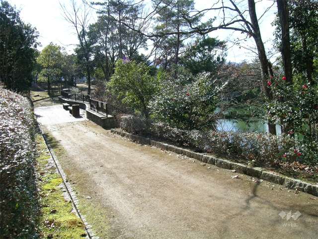 うぐいす池公園2