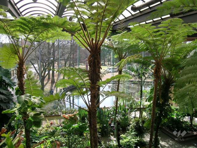 服部緑地　都市緑化植物園5