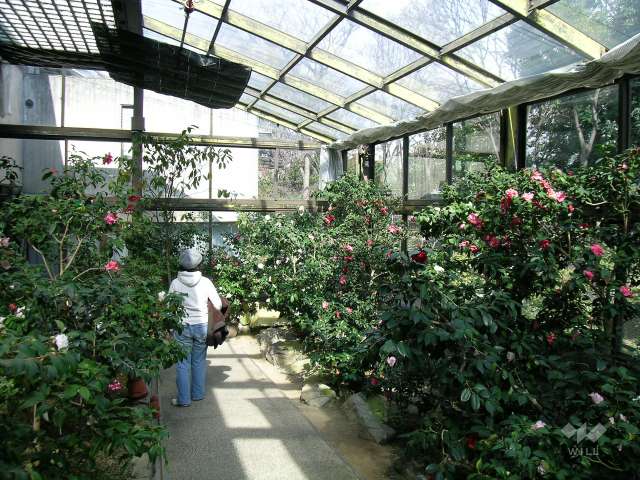 服部緑地　都市緑化植物園6