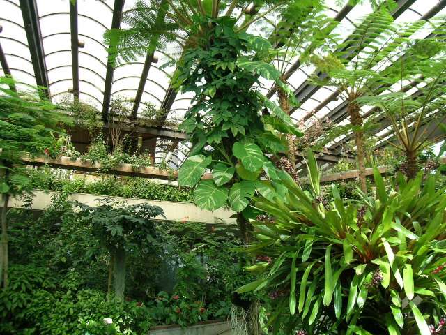 服部緑地　都市緑化植物園7