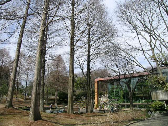 服部緑地　都市緑化植物園9