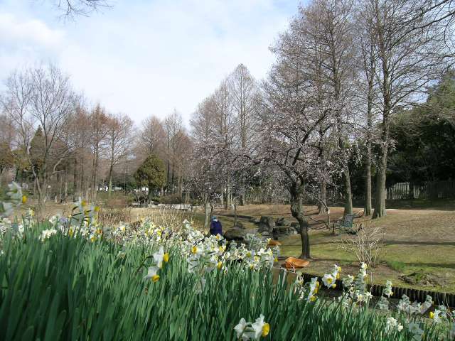 服部緑地　都市緑化植物園10
