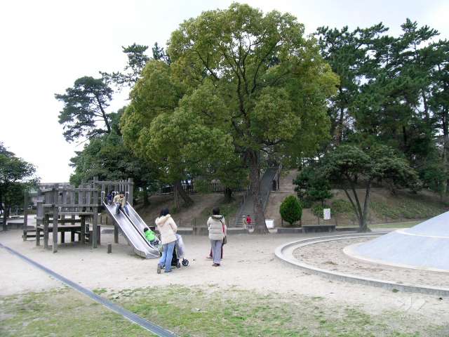 大塚公園1