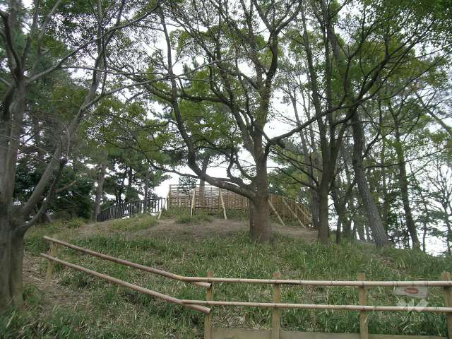 大塚公園6