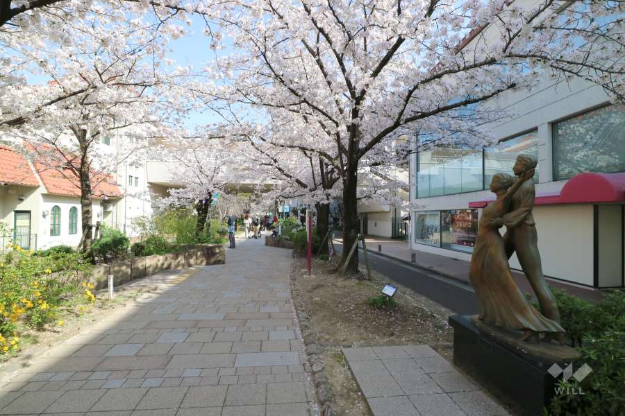花のみち2