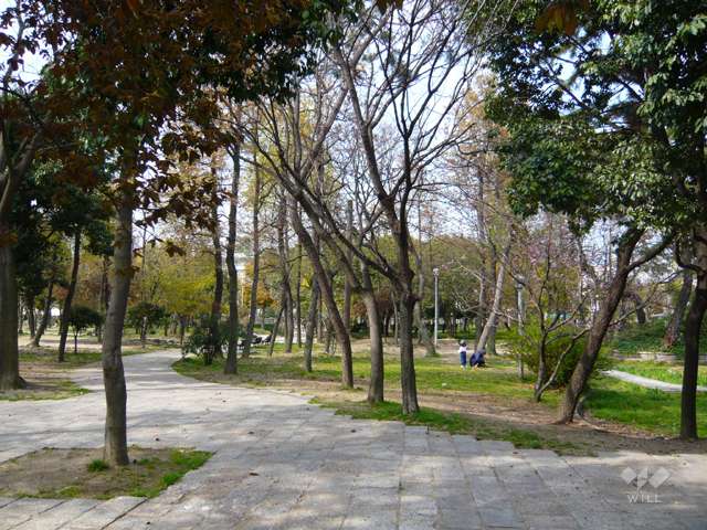 大井戸公園5