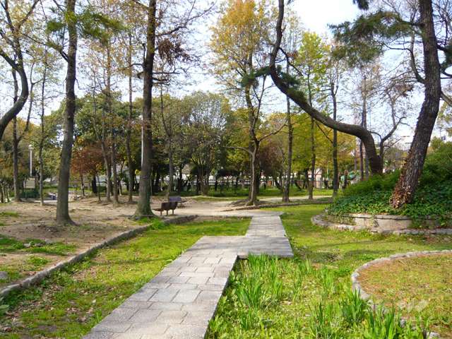大井戸公園7