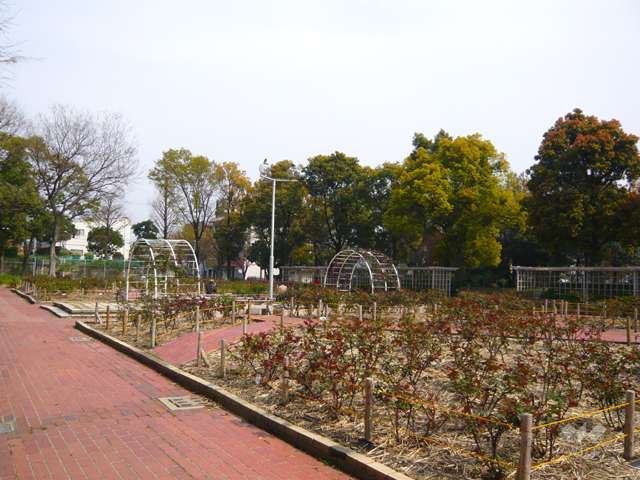 大井戸公園8
