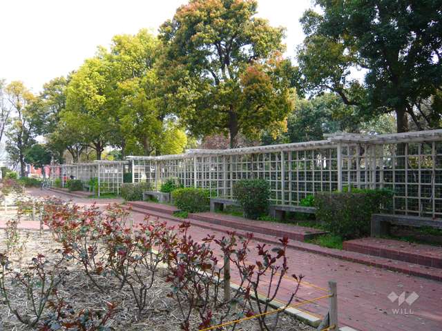 大井戸公園9
