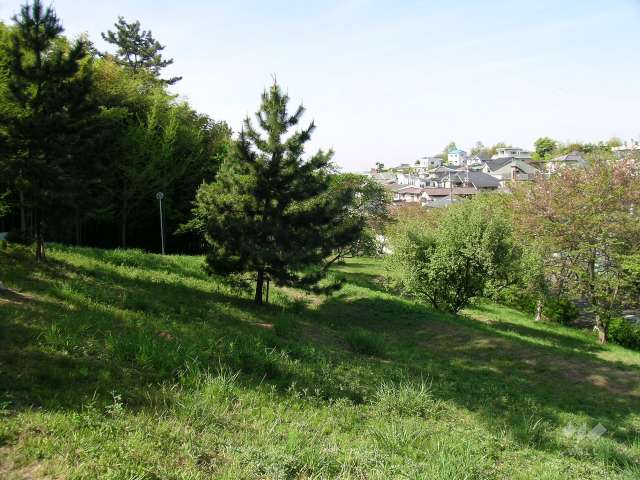 千里緑地3