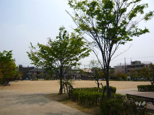森具公園3