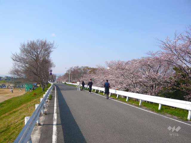 武庫川1
