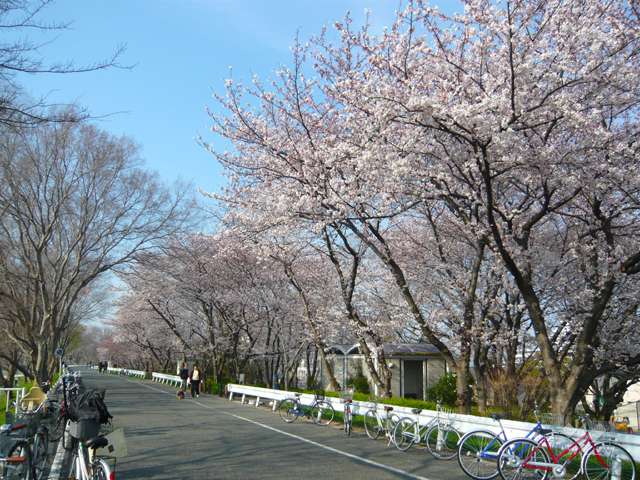 武庫川2