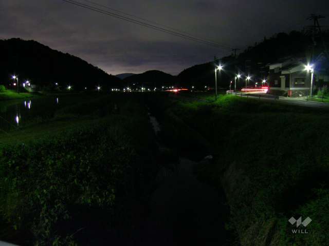 『阿古谷』の蛍2