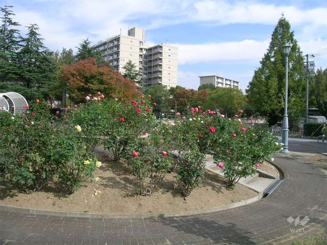 片山公園5