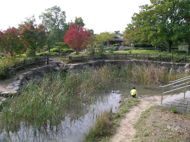 片山公園11