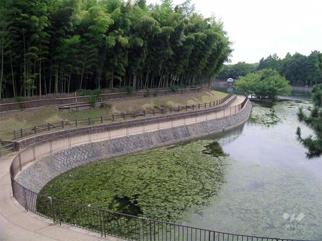 桃山公園2