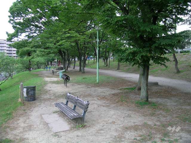 桃山公園3