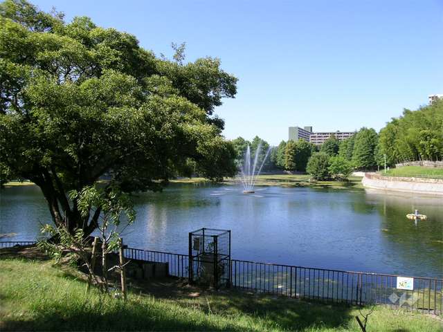 桃山公園4