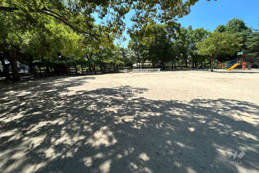 長洲公園7