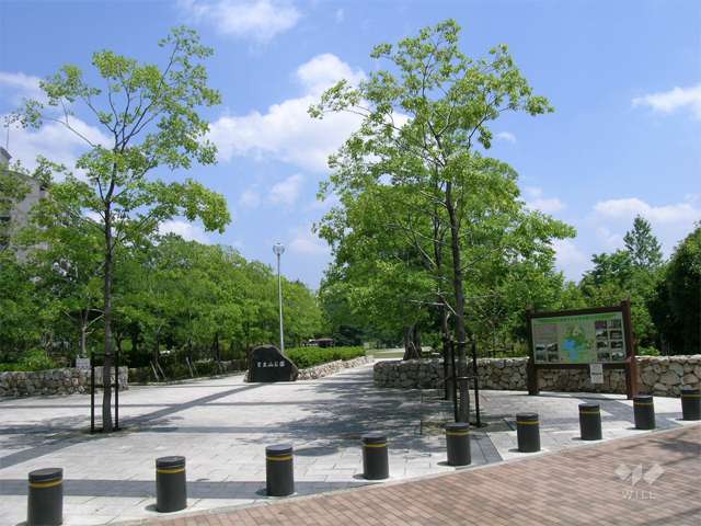 紫金山公園1