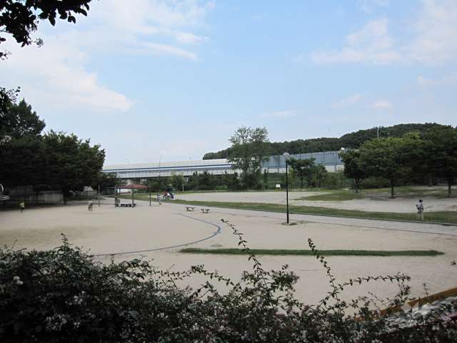 紫金山公園2