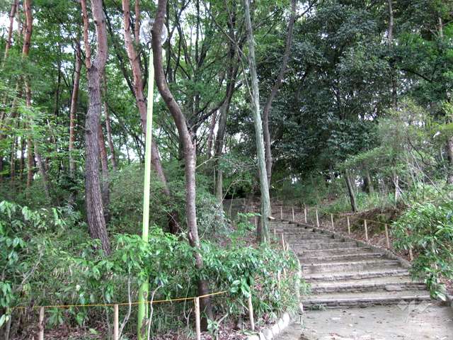 紫金山公園5