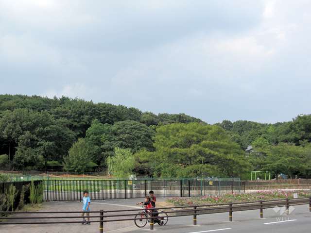 紫金山公園9